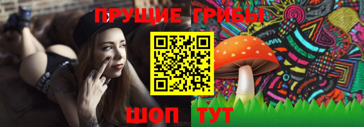 закладки  Псилоцибиновые грибы Psilocybe  Вход с VPN  Ишимбай 